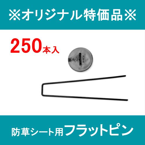 ※オリジナル特価品※ 防草シート用 コの字 ガタピン 250本セット