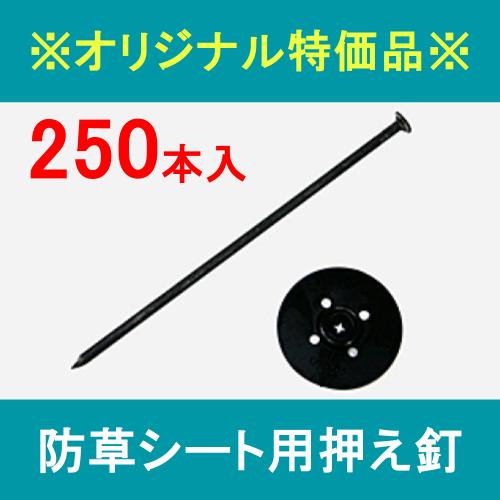 ※オリジナル特価品※ 防草シート用押え釘 黒 250本セット